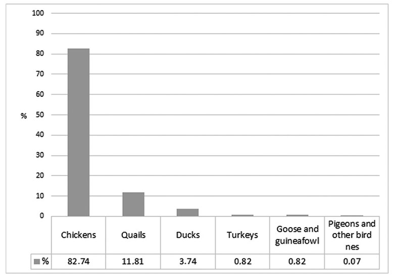 Average share of the domestic birds, slaughtered annually worldwide (FAOSTAT, 2018 and estimated data for quail)