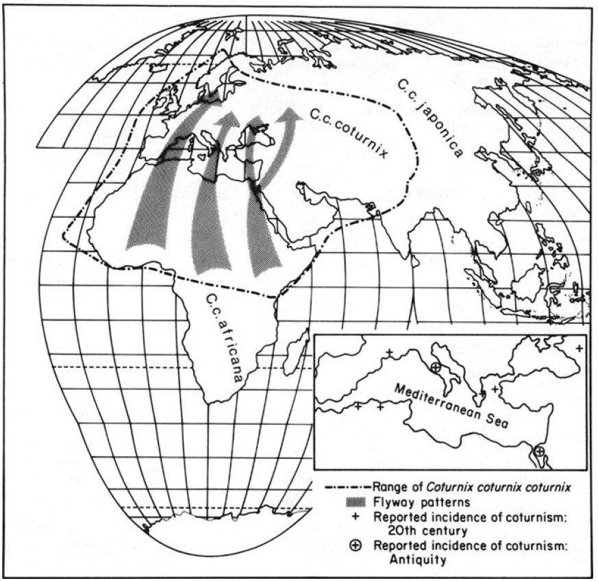 Geographic range and flyway patterns (Coturnix cotumix cotumix)