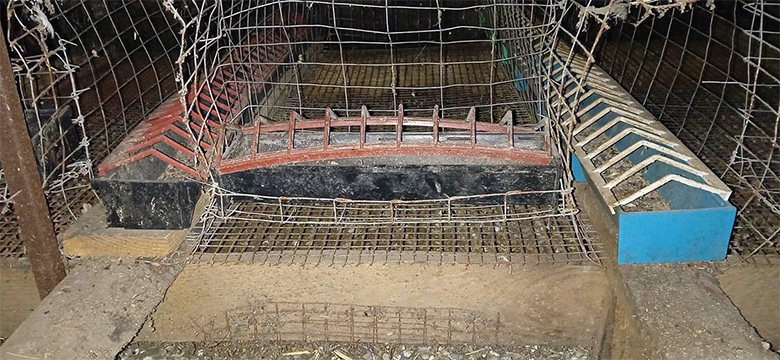 self-made cage for quails