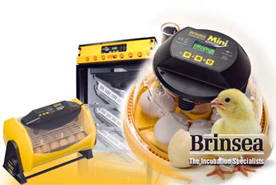 Brinsea инкубатор яйца охлаждение