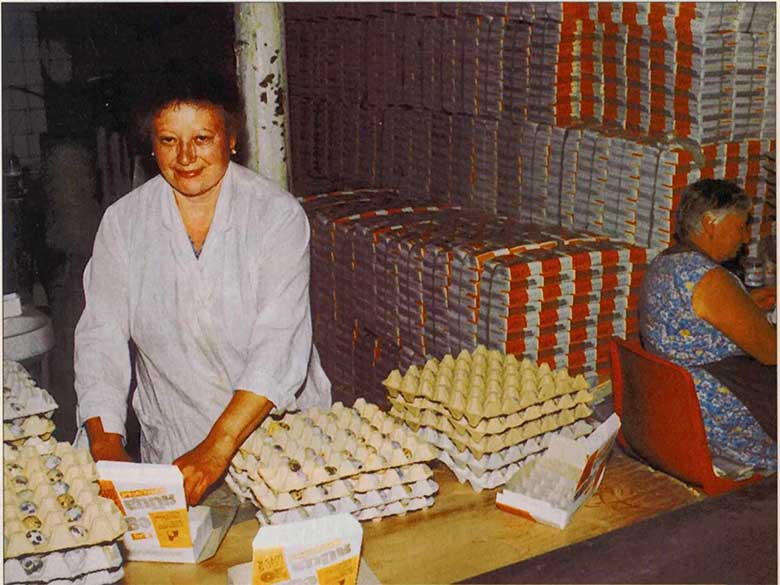 Упаковка перепелиных яиц